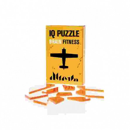 IQ Puzzle Plane