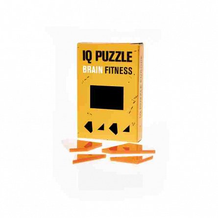 IQ Puzzle Rectangle