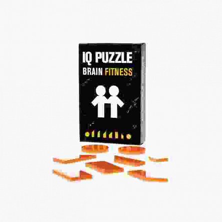 IQ Puzzle Twins