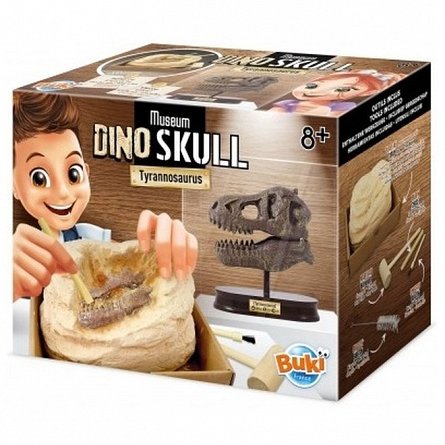Kit de sapat - Craniu T-Rex