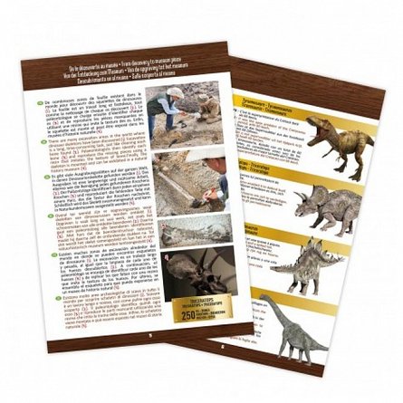 Kit de sapat - Craniu T-Rex