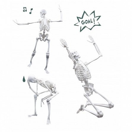 Schelet Gigant 45 cm