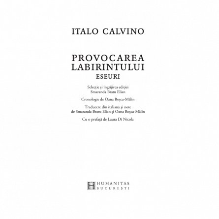 Provocarea labirintului