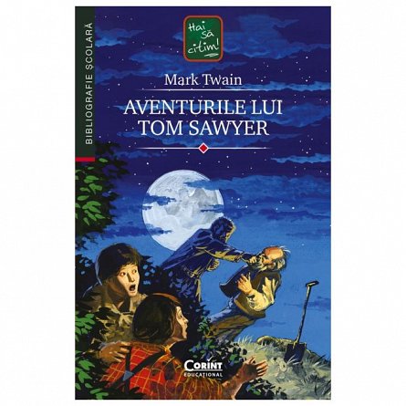 Aventurile lui Tom Sawyer