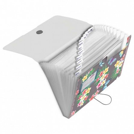 Mapa din plastic, A4, cu elastic, 12 compartimente, Ladylike Butterfly, Herlitz easy.orga