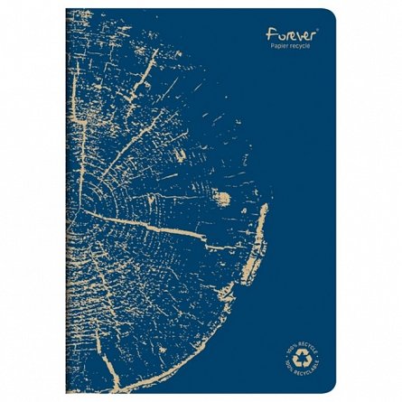 Caiet A4 Forever Clairefontaine, 48f dictando, hartie reciclata, albastru cobalt