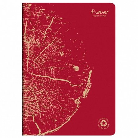Caiet A4 Forever Clairefontaine, 48f dictando, hartie reciclata, caramiziu