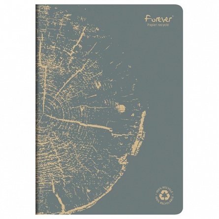 Caiet A4 Forever Clairefontaine, 48f dictando, hartie reciclata, gri