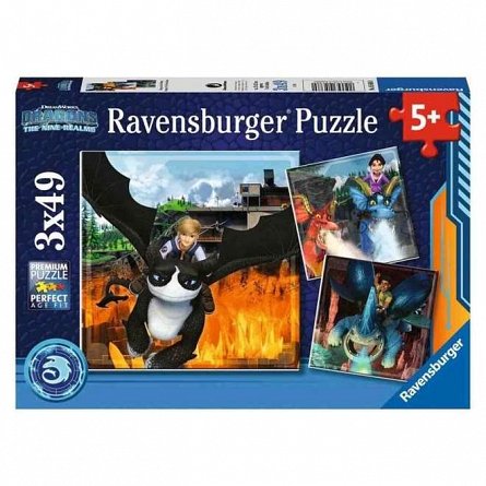 Puzzle Cum sa iti dresezi Dragonul TNR, 3x49 piese