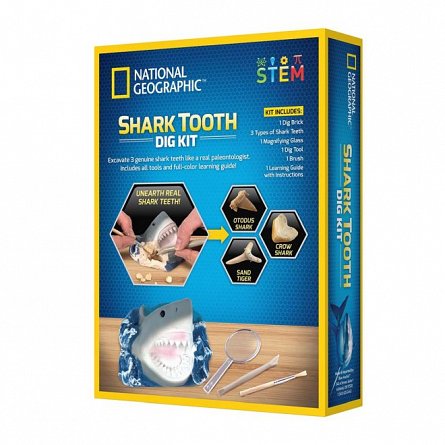 Kit creativ - Sa cautam dinti de rechini