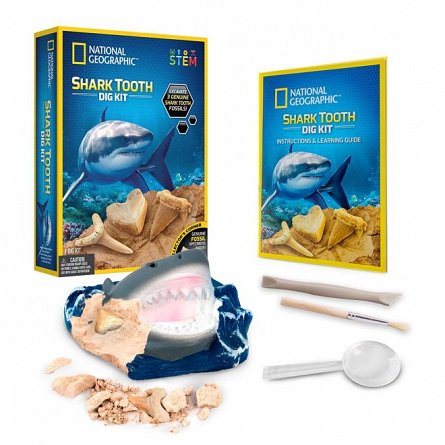 Kit creativ - Sa cautam dinti de rechini
