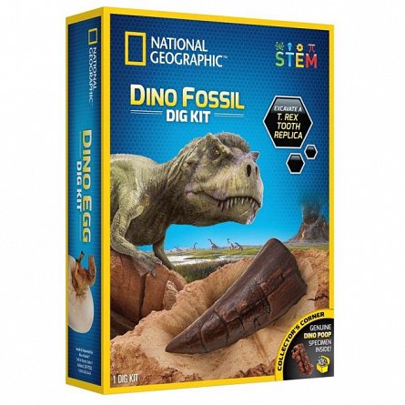 Kit creativ - Sa cautam dinozauri