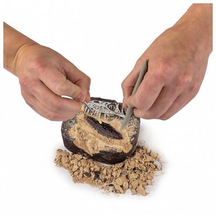 Kit creativ - Sa cautam dinozauri