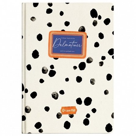 Caiet A4, 96 file, matematica, Lipa Mill Basic Collection