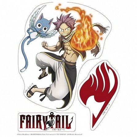 Stickere Fairy Tail, set 2 bucati, 16 x 11 cm, Natsu and Lucy