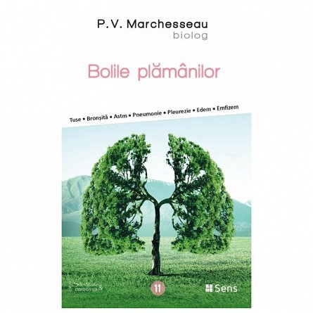 Bolile plamanilor
