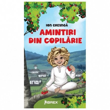 Amintiri din copilarie