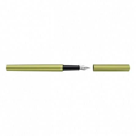 Stilou Pelikan Ineo Elements, penita M, Green Oasis, cutie metal