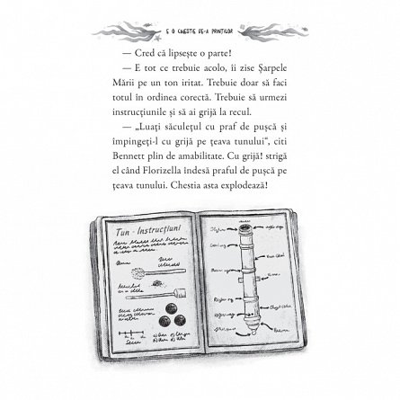Regulile Printesei. E o chestie de-a printilor