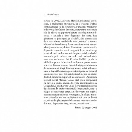 Despre ingeri