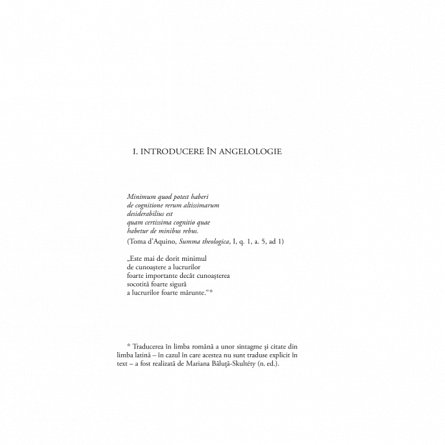 Despre ingeri