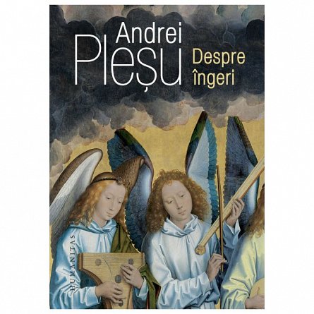 Despre ingeri