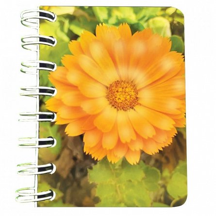 Carnet cu spira 7 x 10 cm, 75 file, velin, Flori portocalii