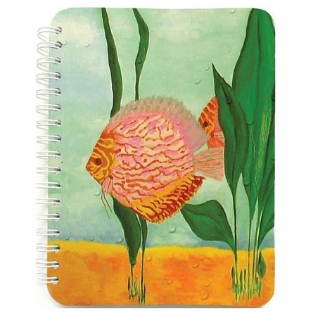 Caiet cu spira 12 x 16 cm, 100 file, dictando, Discus