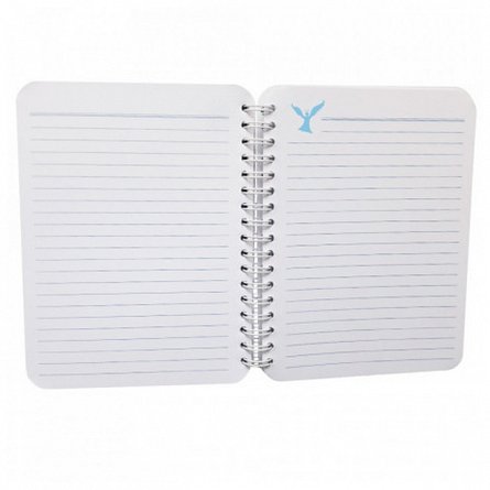 Caiet cu spira 12 x 16 cm, 100 file, dictando, Discus