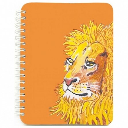 Caiet cu spira 12 x 16 cm, 100 file, dictando, Leu
