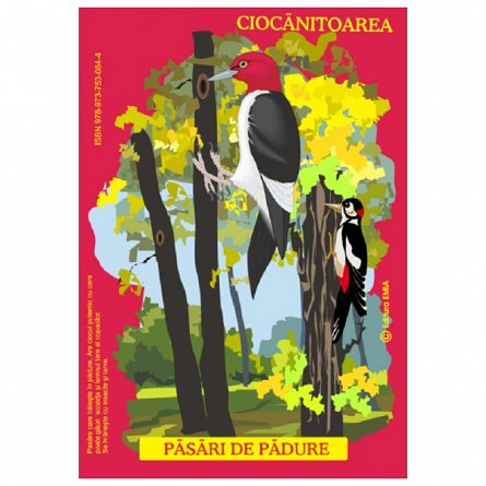 Pasari din fauna Romaniei care traiesc in padure. Planse