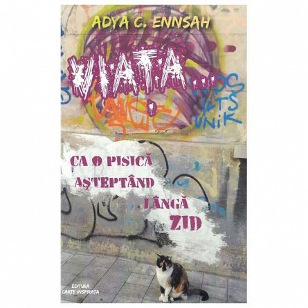 Viata... ca o pisica asteptand langa zid