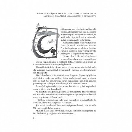 1001 de nopti. Basme arabe istorisite de Eusebiu Camilar, vol. 1