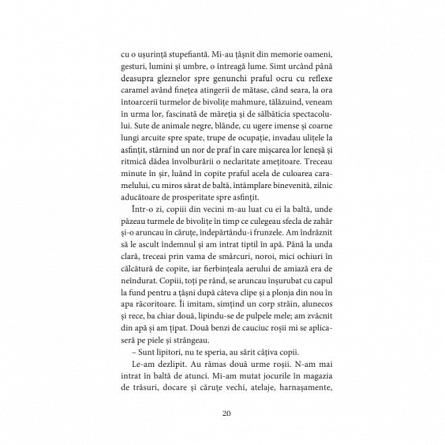 Jurnal. Ratiune si sensibilitate