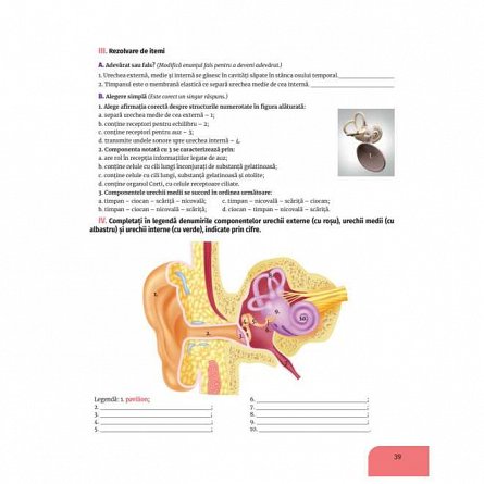 Biologie. Caietul elevului pentru clasa a VII-a