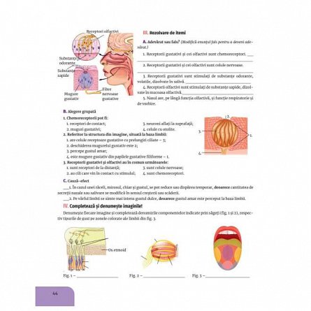 Biologie. Caietul elevului pentru clasa a VII-a