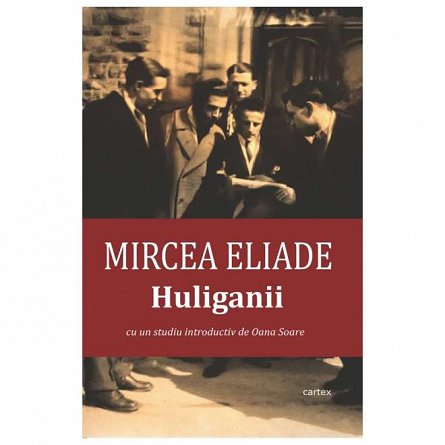 Huliganii