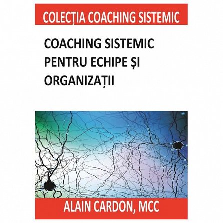 Coaching sistemic pentru echipe si organizatii