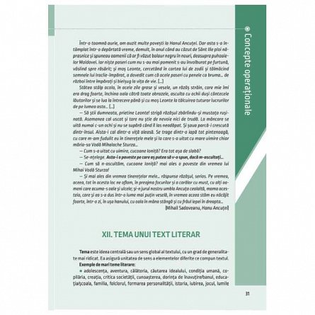 Literatura pentru gimnaziu. Clasa a VII-a. Concepte operationale si exercitii