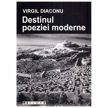 Destinul poeziei moderne