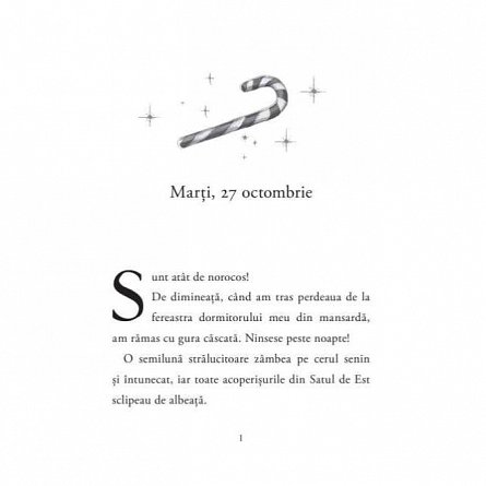 Aventurile unui spiridus al Craciunului. Cronicile spiridusilor, vol. 3