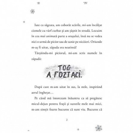 Aventurile unui spiridus al Craciunului. Cronicile spiridusilor, vol. 3