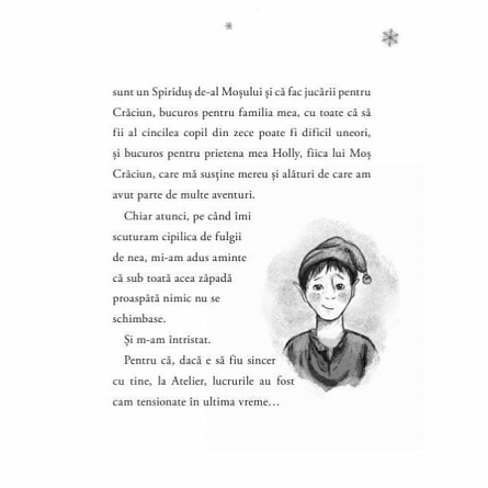 Aventurile unui spiridus al Craciunului. Cronicile spiridusilor, vol. 3