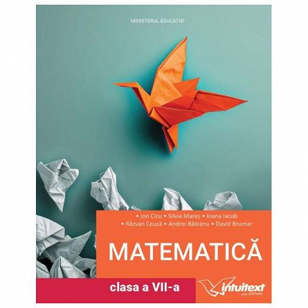 Matematica. Manual. Clasa a 7-a