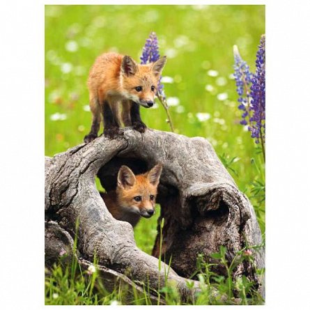 Puzzle Pui de Vulpe, 300 piese, 9 ani, Ravensburger