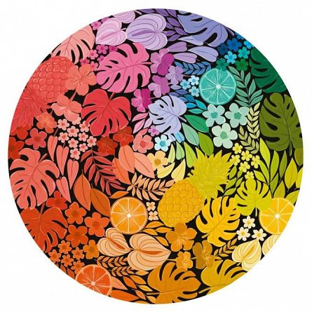 Puzzle Cercul culorilor Tropical, 500 piese, include poster