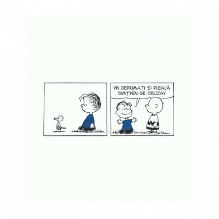 PEANUTS. Ghiduri pentru viata. Viata prin ochii lui Linus