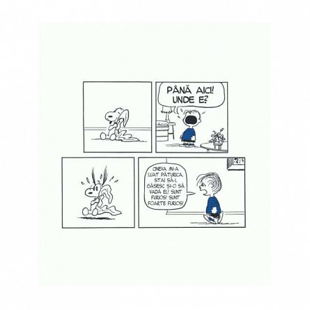 PEANUTS. Ghiduri pentru viata. Viata prin ochii lui Linus