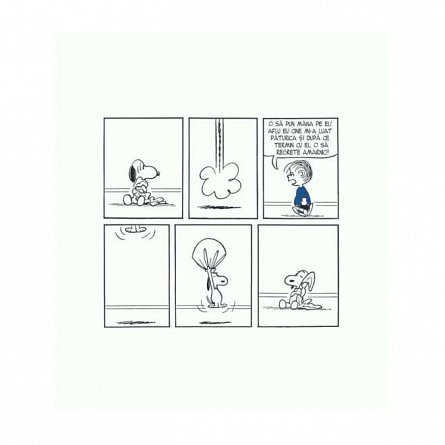 PEANUTS. Ghiduri pentru viata. Viata prin ochii lui Linus