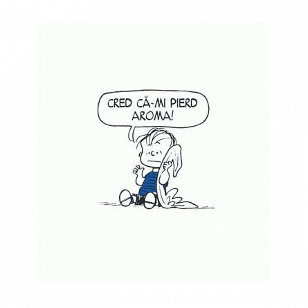 PEANUTS. Ghiduri pentru viata. Viata prin ochii lui Linus